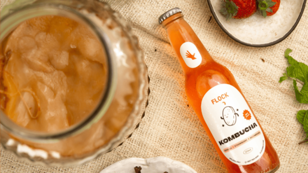 kombucha bali
