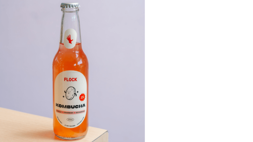 kombucha bali