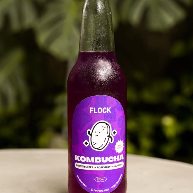 homemade kombucha bali