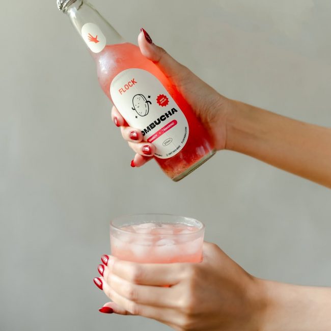 kombucha bali
