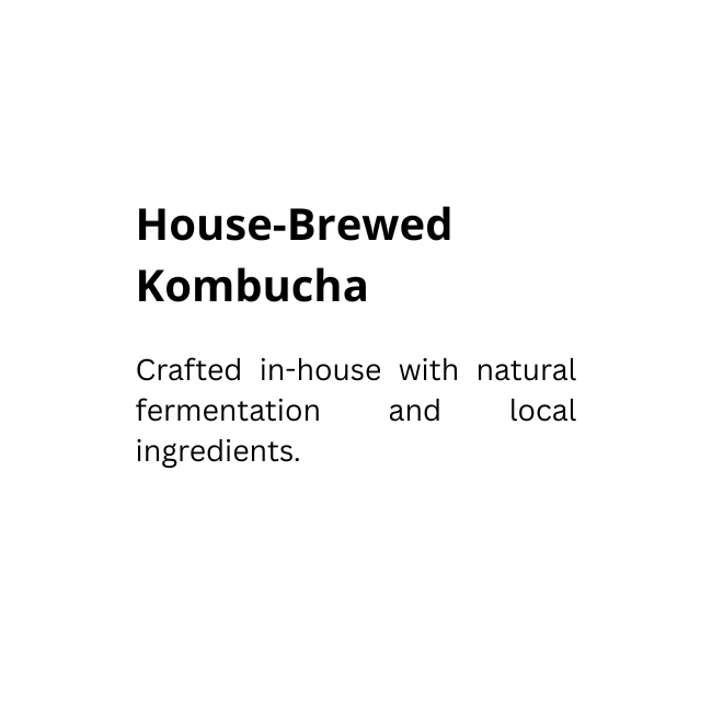 homemade kombucha bali