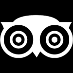 flock tripadvisor